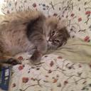 ANITA ROBILLARD - @ANITAROBILLARD - Twitter