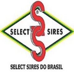 Nosso Trabalho é oferecer aos nossos clientes a melhor genética bovina disponível no mundo para incrementar a rentabilidade das propriedades.