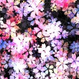 _azar_S's profile picture. 본계 @_azar  가 가취ㄱr쉴뿐 했다가 터졌엇던사람