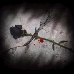 lilith_rose0289's profile picture. I'm lovable and a rocker. Writing is my passion and so is love. Anything you want to know, just ask.