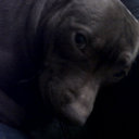 jack wakefield - @XreconzJack - Twitter