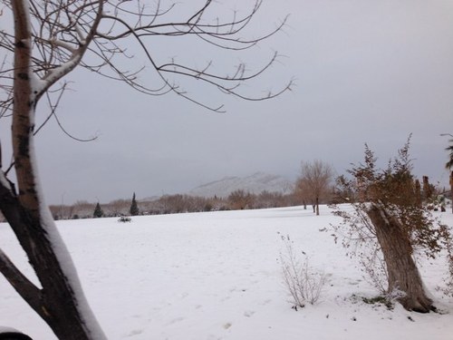 ColyJoel's profile picture. 