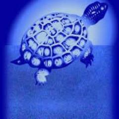 DrBakerSeattle's profile picture. Naturopathic physician & passionate educator in Seattle.