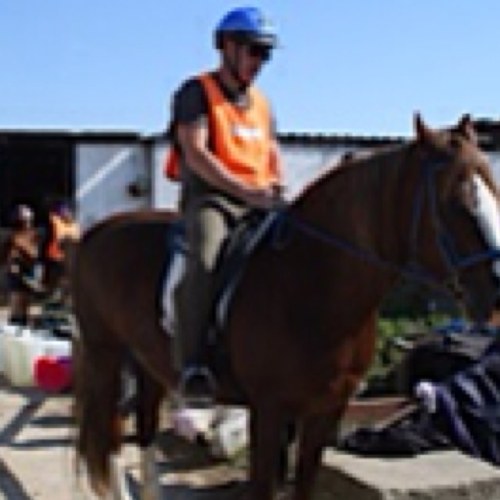 anaesthetic practitioner ,shares ina few horses