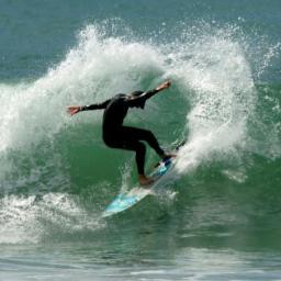 dalpasquali's profile picture. 