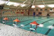 SCCPool1's profile picture. Shelton Community Center Pool