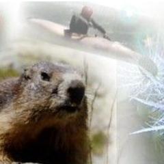 doryphore13's profile picture. 