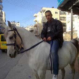 Mahmoud_Brash's profile picture. 