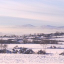 roderick morrison - @rsamorrison - Twitter