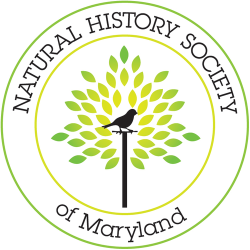 Maryland Naturalist