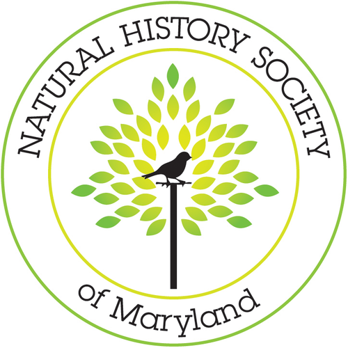 The Natural History Society of Maryland – Connect with us. Connect with nature. P.O. Box 18750 • 6908 Belair Road • Balto., MD 21206