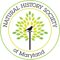 Maryland Naturalist (@nhsm_naturalist) 's Twitter Profile