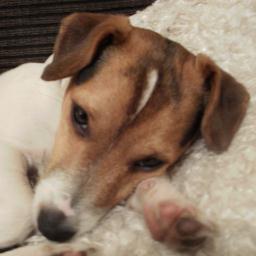 BobbysarahSarah's profile picture. 