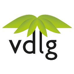 @VDLGinfo