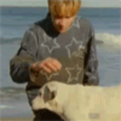 The cursed dog from Round The Twist... Crikey!