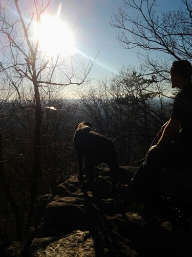 ttnhall's profile picture. 