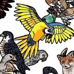I make Tree of Life posters and prints. They include extinct ancestors and relatives giving a fuller picture or the Tree of Life.