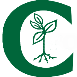 Chalcroft Nurseries are based in Bognor Regis,
We have been established nearly 50 years and is still a thriving business today
Contact 01243 863346