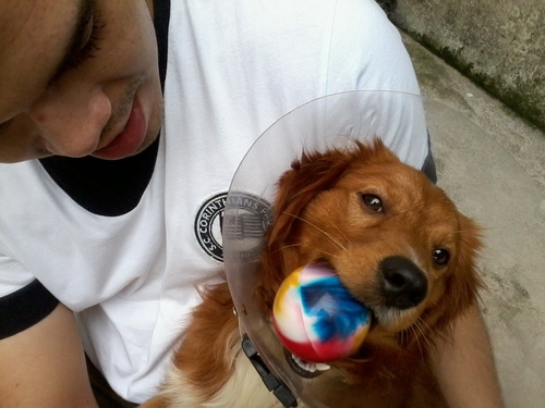 HSpinussi's profile picture. Mãe, professora, corinthiana. Amo animais.