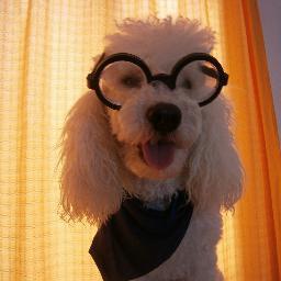 Locat_Flor's profile picture. 