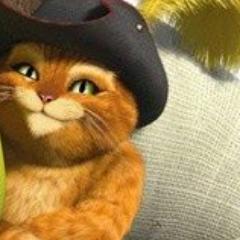 brunavi38815117's profile picture. 