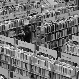 LSLiterature's profile picture. We are the Literature section of Europe's largest student newspaper. We write, we publish, and we share the words of others. play.print@london-student.net