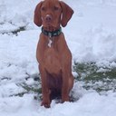 Andy Symonds - @andysymonds - Twitter