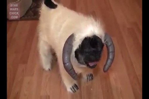 rsurvail's profile picture. 