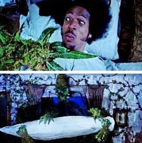 #ykyhw..pothead from cleveland..
stay high til' ya die