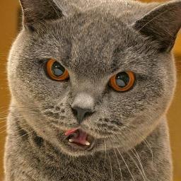 SeanKantTrumann's profile picture. 