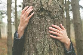 WoodsFestival's profile picture. Music and Arts Festival 
July 26th & 27th 2014