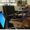 Jack Bissett - @JackBissett - Twitter