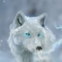 veronica torre - @torre849 - Twitter