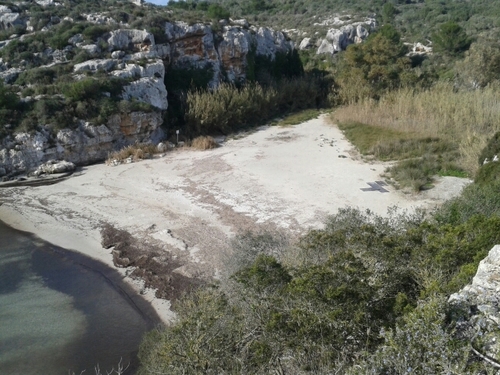 CarolLopezReal's profile picture. 