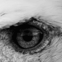 OccupyLogs's profile picture. 