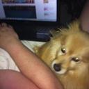 Jesse Patrick - @JessePatrickDOG - Twitter