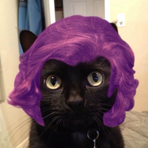 VisualmetaphorT's profile picture. 