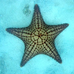 Owner of a Diving and Tour company in Cozumel, Mx Two D's Diving and Tour Adventures I enjoy family, friends, scuba diving, meeting new people and cooking