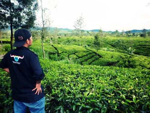 * hidup itu harus ngikutin jalur,jangan mengpar aaaacccchhhh