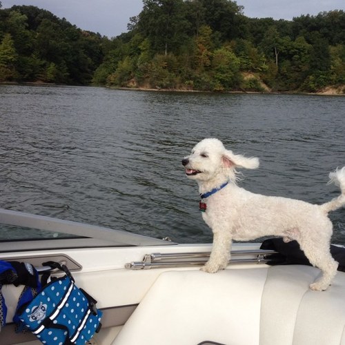 drjessdds's profile picture. 