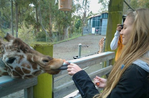 taylor16t's profile picture. 