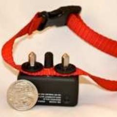 DogTrainingAu's profile picture. The Dog Line has been helping people with their dog problems since 2003 to have a better relationship with their dogs.