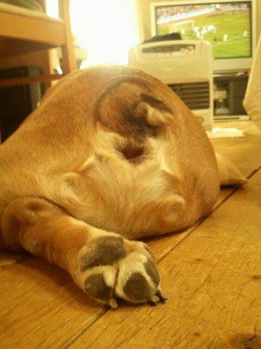 onarakensho's profile picture. どうも！