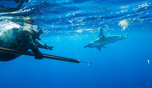 BlakProDivR's profile picture. I didn't expect life to turn out this good ..