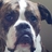 J_Pittsy's profile image
