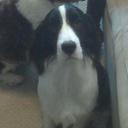 Timothy Gold - @timjongold - Twitter