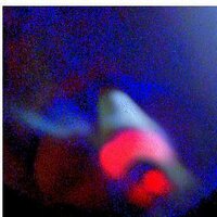 VenezuelaLogica (@venezuelalogica) 's Twitter Profile