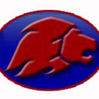 Minneapolis Sports (@minnealions) 's Twitter Profile