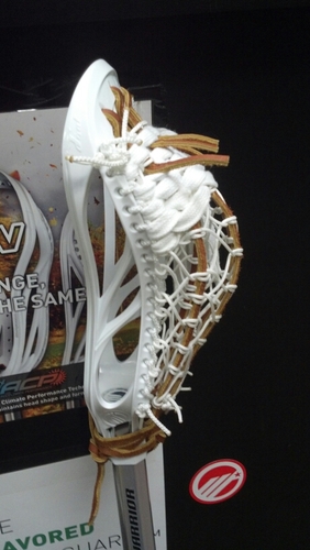 Manager of lacrosse Unlimited of Alexandria, VA