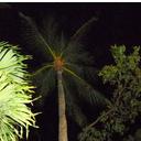 stormy rose Denise b - @stormyrosebrown - Twitter